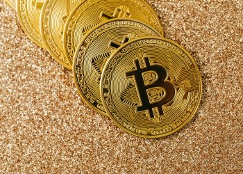 Top 10 Bitcoin Wallets for Beginners Security and Ease of Use Compared