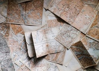 Options Trading: A Beginner's Guide to Smart Investments